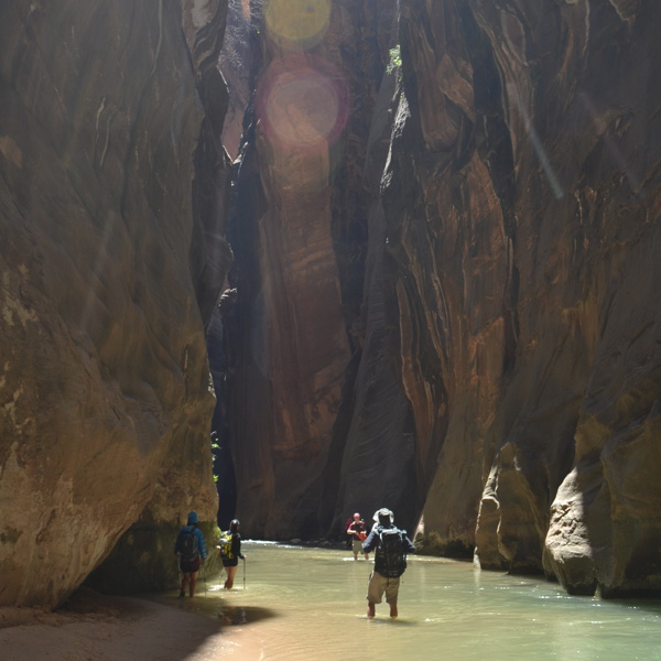 Sunlight in the Narrows