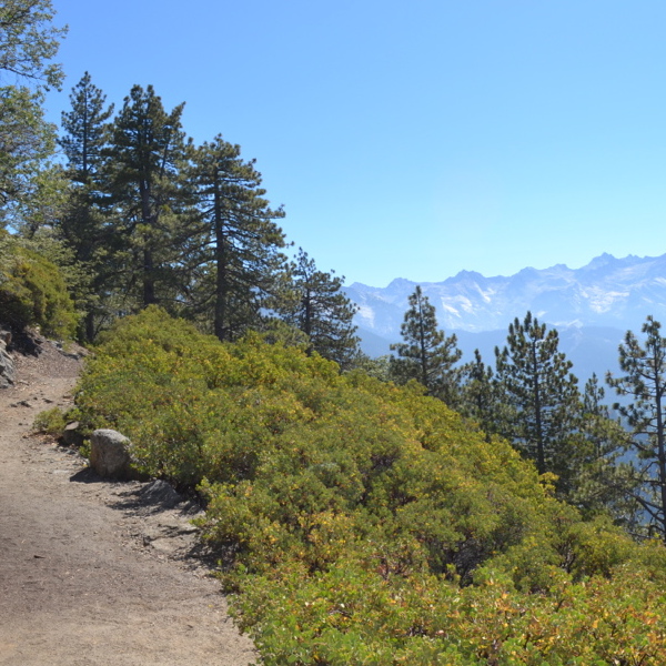 Trail towards Great Western Divide