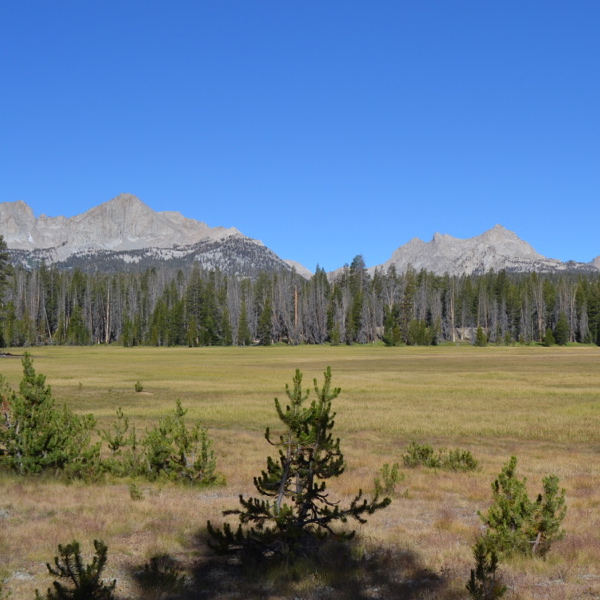 Sky Parlor Meadow