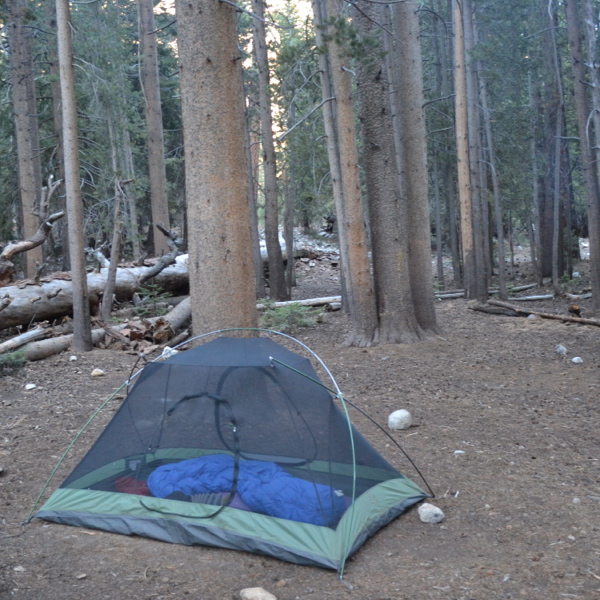 Campsite at Junction Meadow
