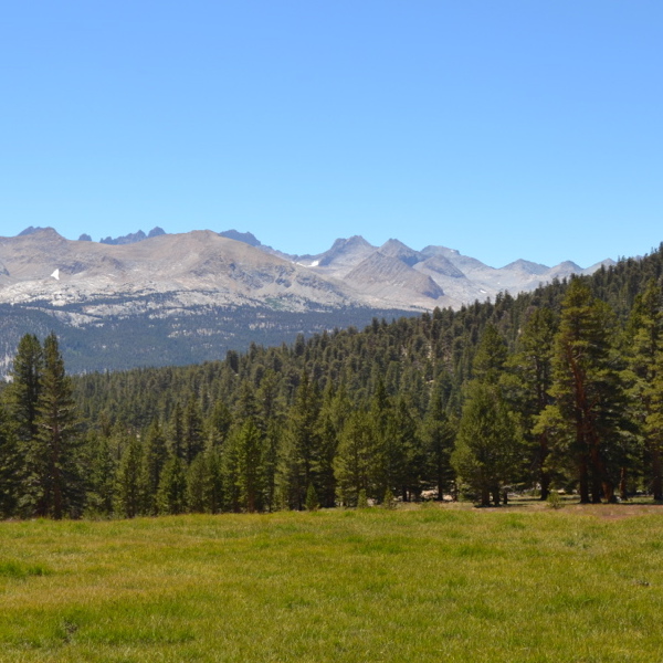 Sandy Meadow
