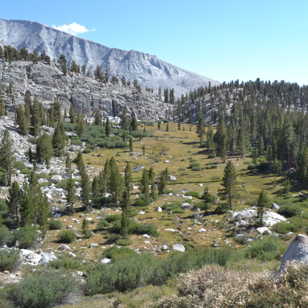 Meadows near Crabtree