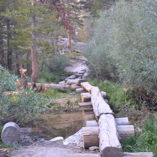 Log trail near Whitney Portal