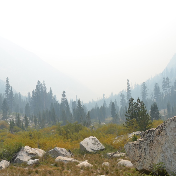 Smoke in Le Conte Canyon