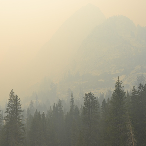 Smoke in Le Conte Canyon