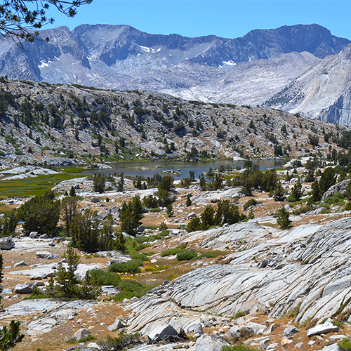 Dusy Basin Campsite