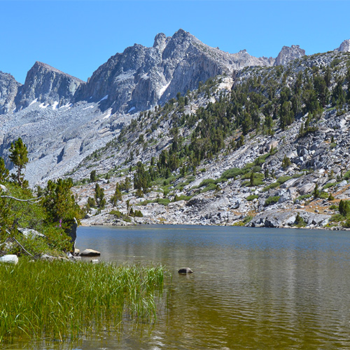 Dusy Basin Campsite