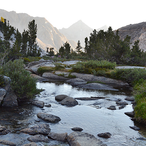 Lower Palisade Lake outlet