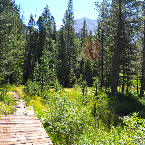 Meadow Crossing