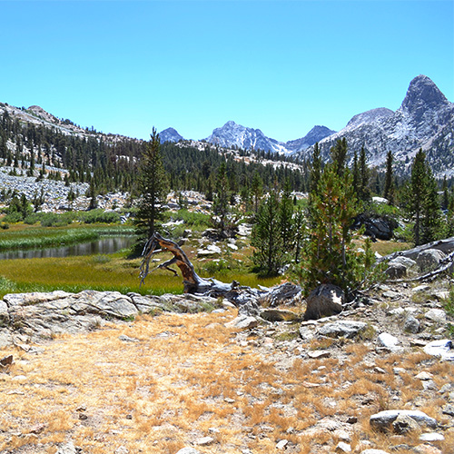 Rae Lakes Basin