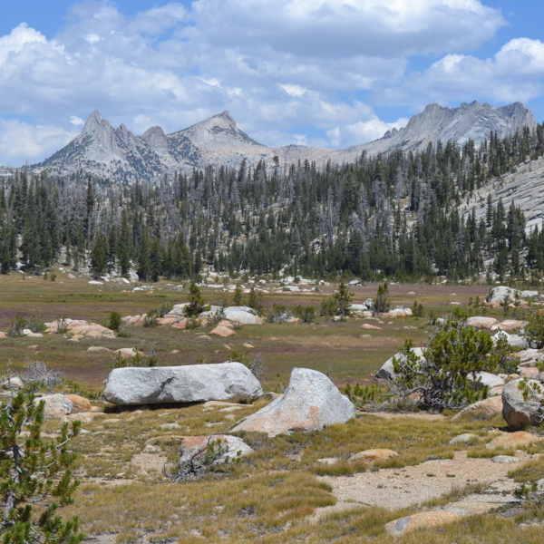 Sunrise Camp Meadow and Cathedral Pass