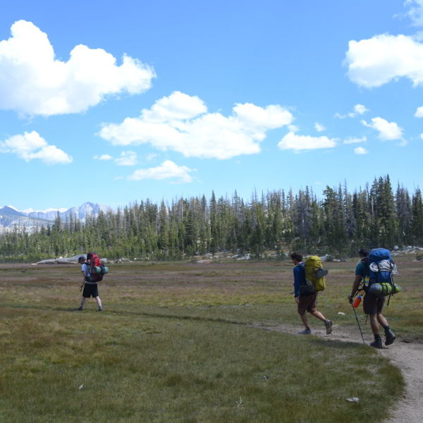 Sunrise Camp Meadow