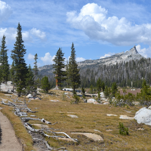 Leaving Sunrise Camp Meadow