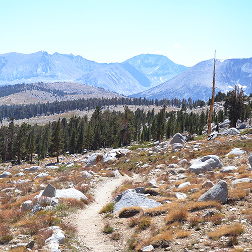 Hiking towards Tyndall Creek