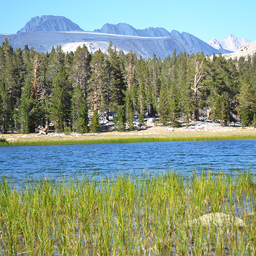 Tyndall Frog Ponds