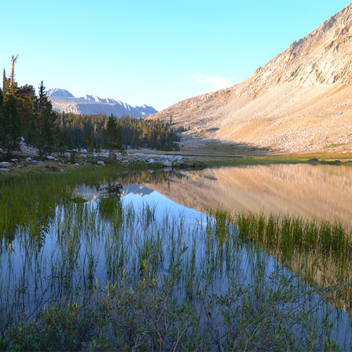 Tyndall Frog Ponds