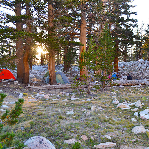 Tyndall Frog Ponds camp