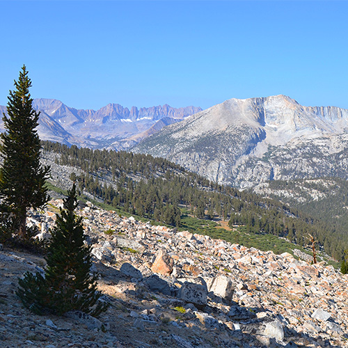 Bighorn Plateau