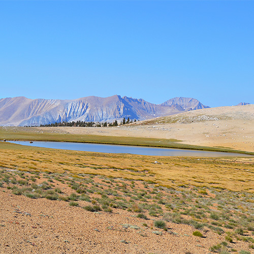 Bighorn Plateau