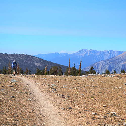 Bighorn Plateau