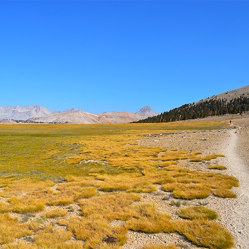 Bighorn Plateau