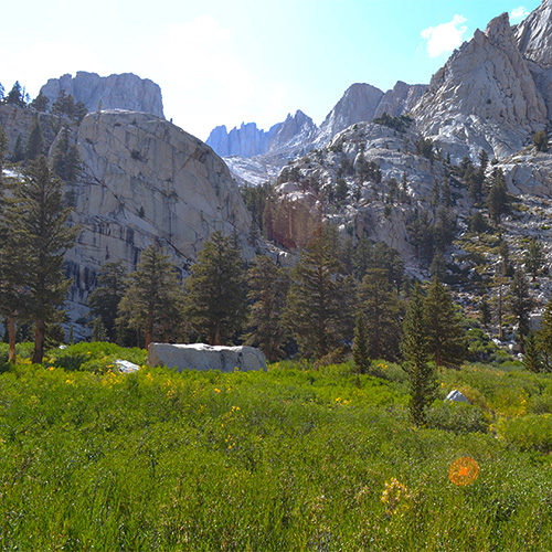 Mt. Whitney