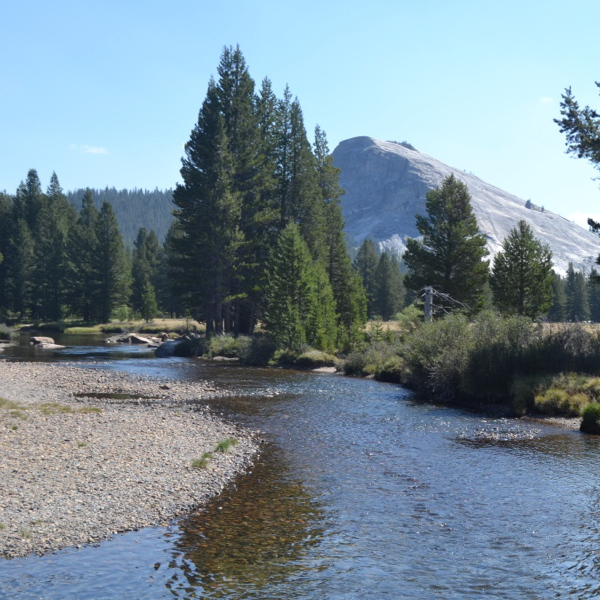 Tuolumne Meadows