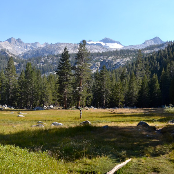 Donohue Pass from Lyell Canyon