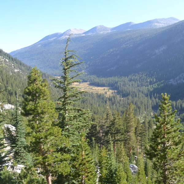 Lyell Canyon from Donohue Pass