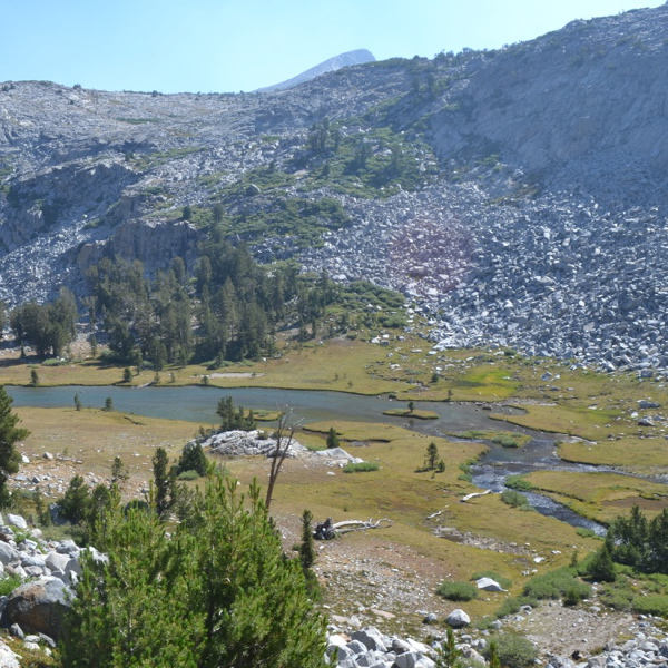 Creek on Donohue Pass