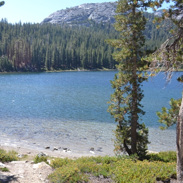 Rosalie Lake