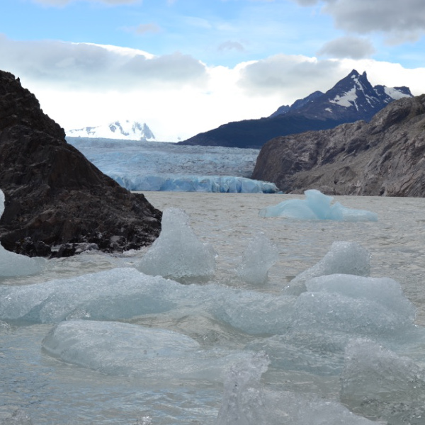 Grey Glacier icebergs