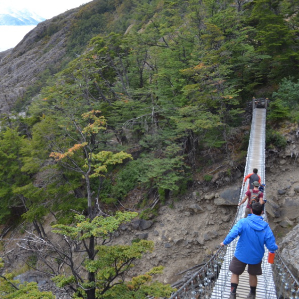 Bridge and Grey Glacier