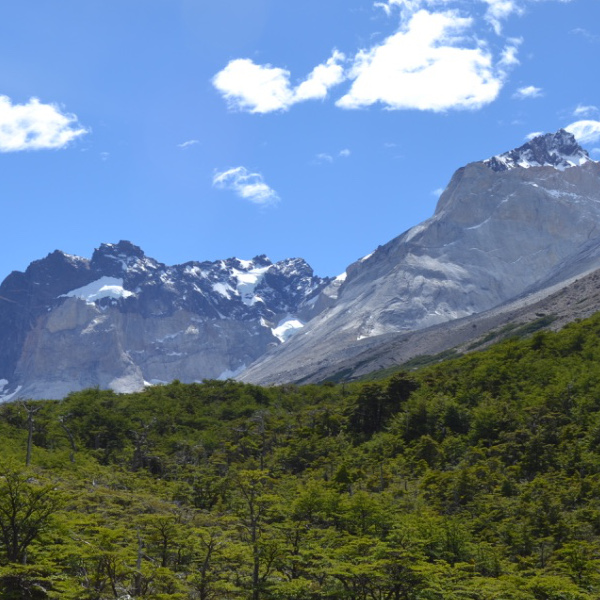 Frances Valley, Britanico