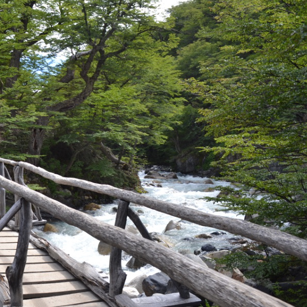 Bridge to las Torres