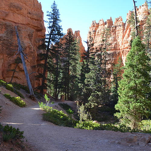 Navajo Loop