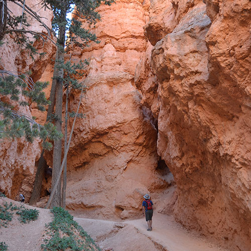 Navajo Loop