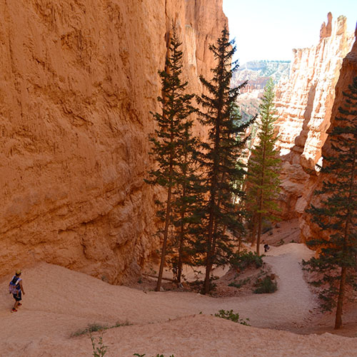 Navajo Loop