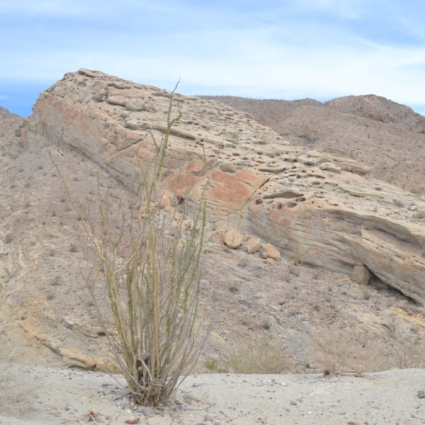 Calcite Mine Trailhead