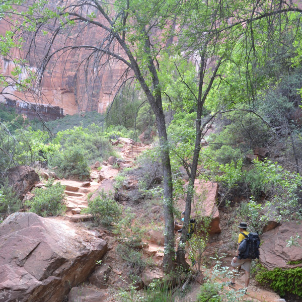 Kayenta Trail