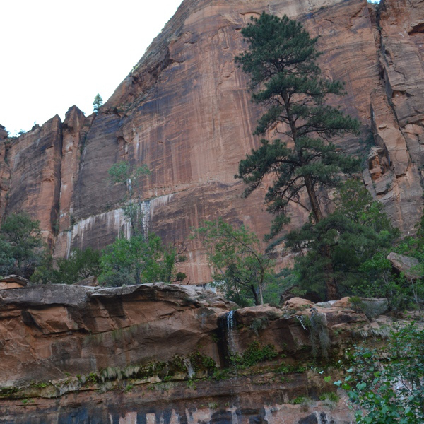 Cliff near Middle Pool