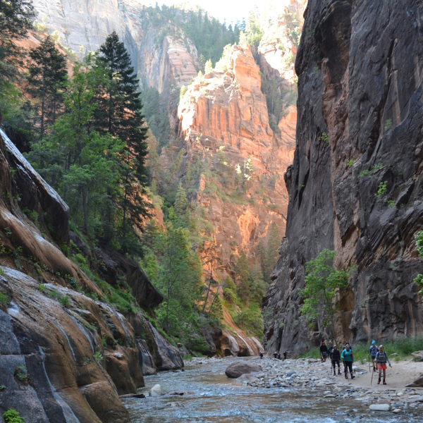 Virgin River canyon