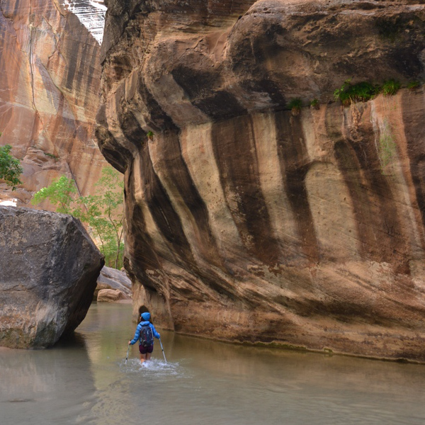 Narrows
