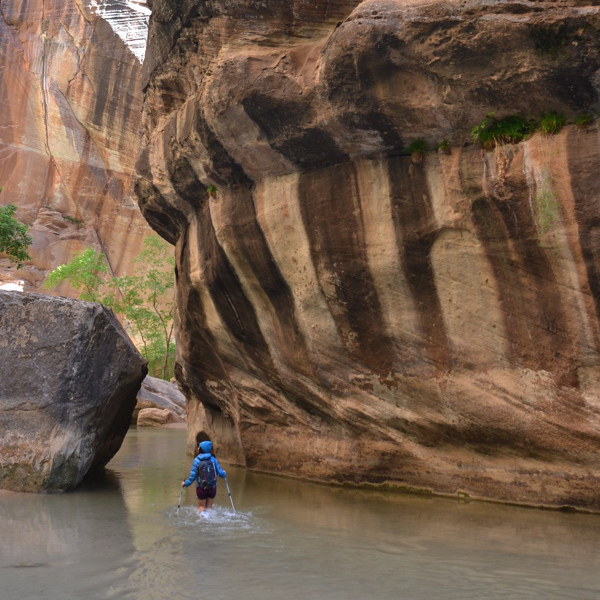 Narrows