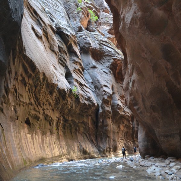 Narrows