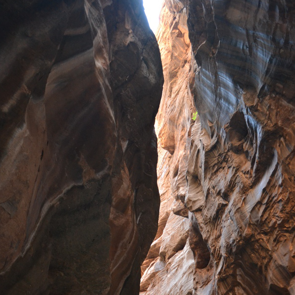 Narrows canyon