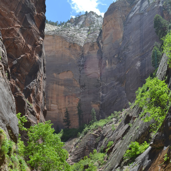 Orderville Canyon