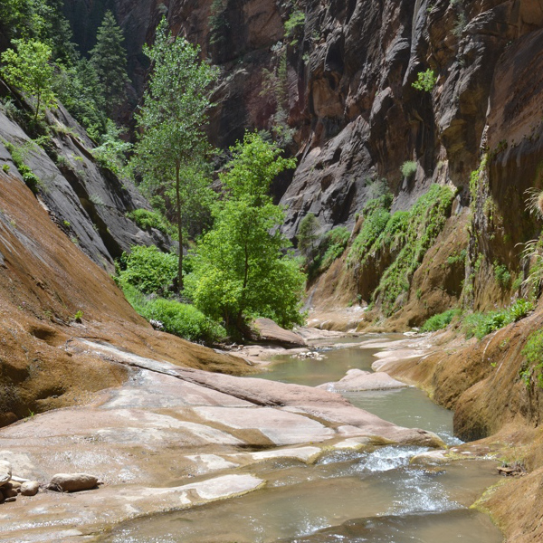 Orderville Canyon