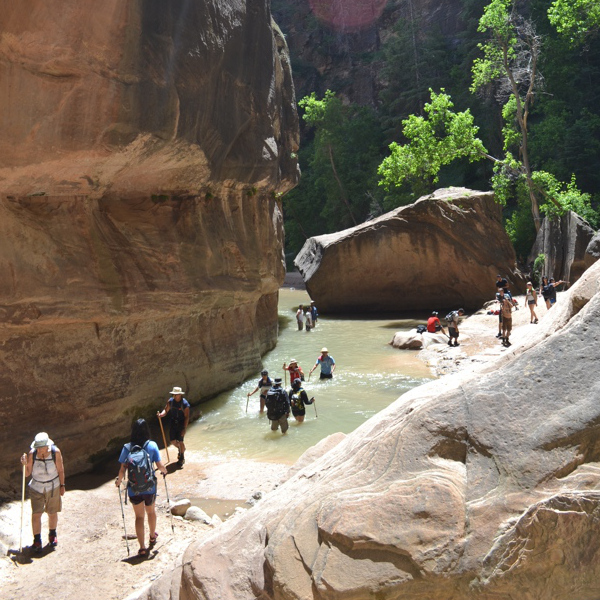 Narrows crowds