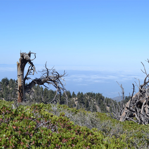 Sea of clouds